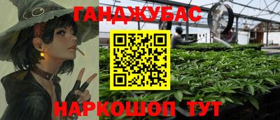молекула духа Кингисепп