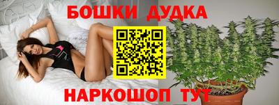 молекула духа Кингисепп