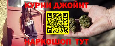 молекула духа Кингисепп