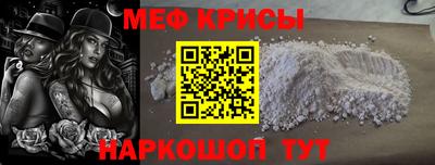 молекула духа Кингисепп