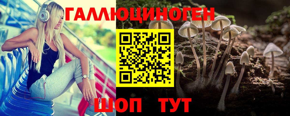 Псилоцибиновые грибы Magic Shrooms  Вход с VPN  купить закладку  Ковров  Галлюциногенные грибы Psilocybe 